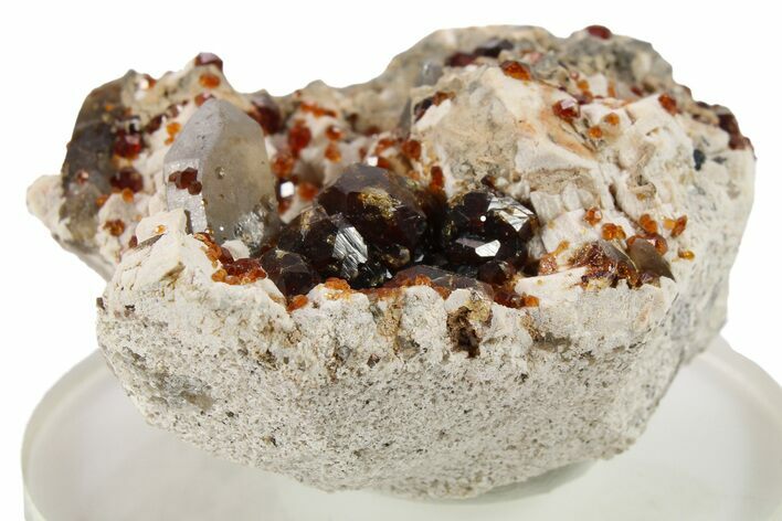 Spessartine Garnets With Smoky Quartz On Feldspar - China #262072